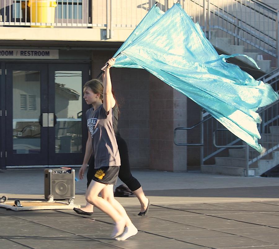 Freshman Adrienne Lunneberg showcases her color guard flag during warm ups .  Color guard puts in many hours of practice to perform their best at shows and games.