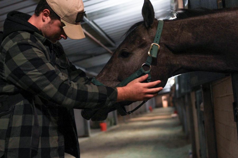 Senior Josh Bryant pets an evacuated horse, making sure he is safe and calm. The Del Mar Fairgrounds is opened for horses and other animals in need of a temporary home.
