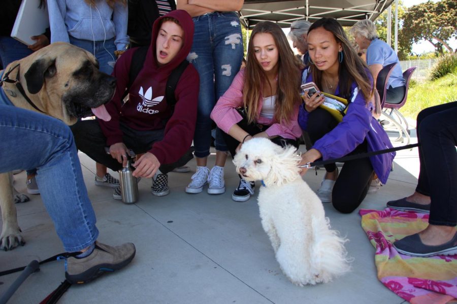 Gracie the dog sits down after performing tricks for the students, such as standing on her hind legs.