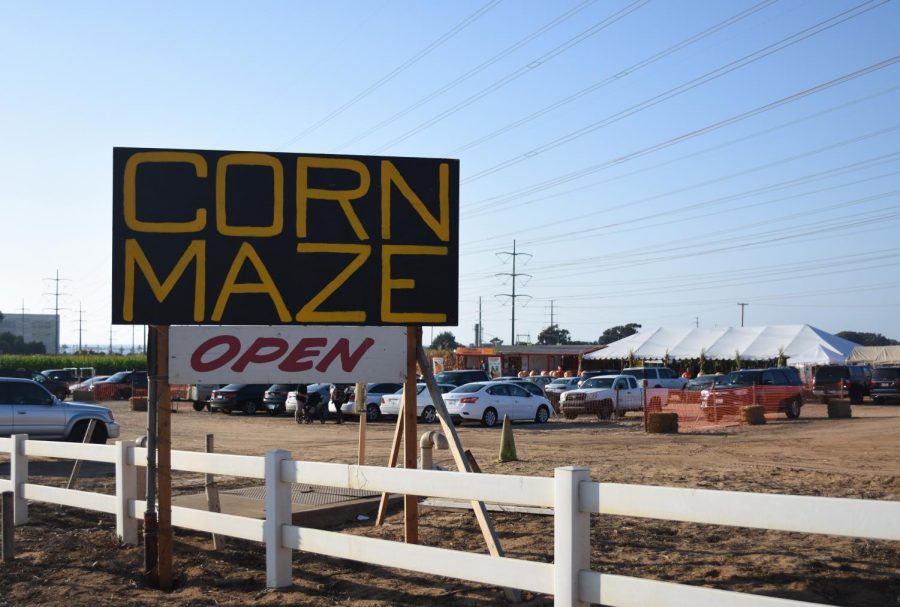 Large signs allow the maze to be seen from a variety of roads. The field contains two mazes, one with scary actors, and another of a higher difficulty.