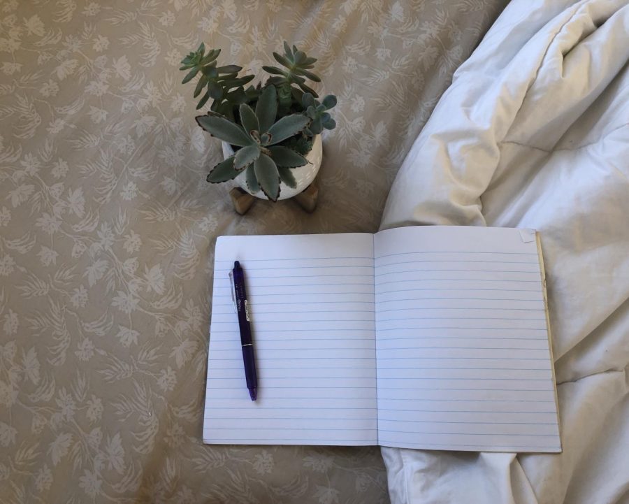 Multiple studies show that daily journaling can help document your emotions and engage the brain. Photo by Gracie Huebner. 