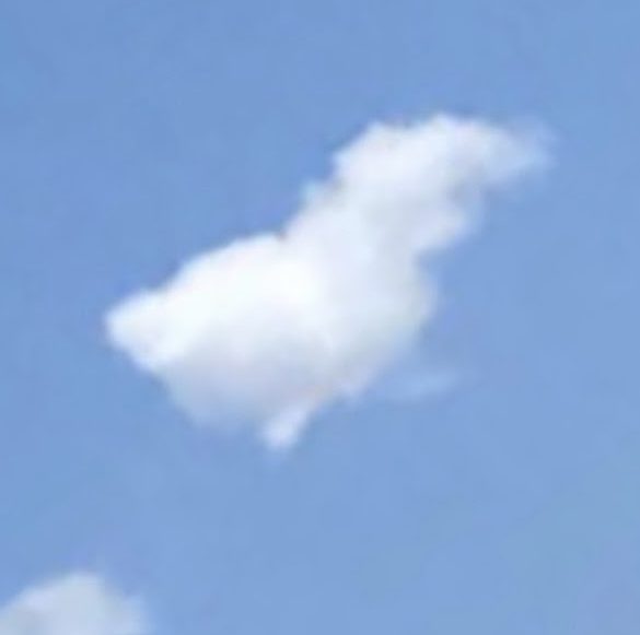 Members of the CHS Cloud Watching Club debated the shape of this cloud. 