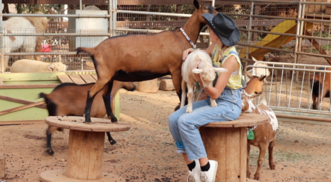 Annabelle Chambers spends her free time at Sugar Sweet Farms bonding with the farm animals. 