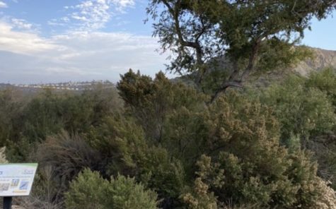 Lake Calavera Trails; one of the hiking spots shown on GoHike Carlsbad