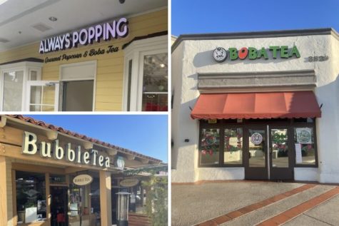 Always Popping, TNL Boba, and Bubble Tea are all boba shops located in North County. Each shop serves unique drinks with your choice of topping. 
