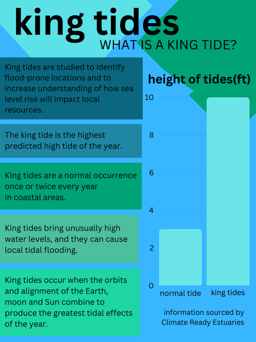 King tides sweep Carlsbads shores