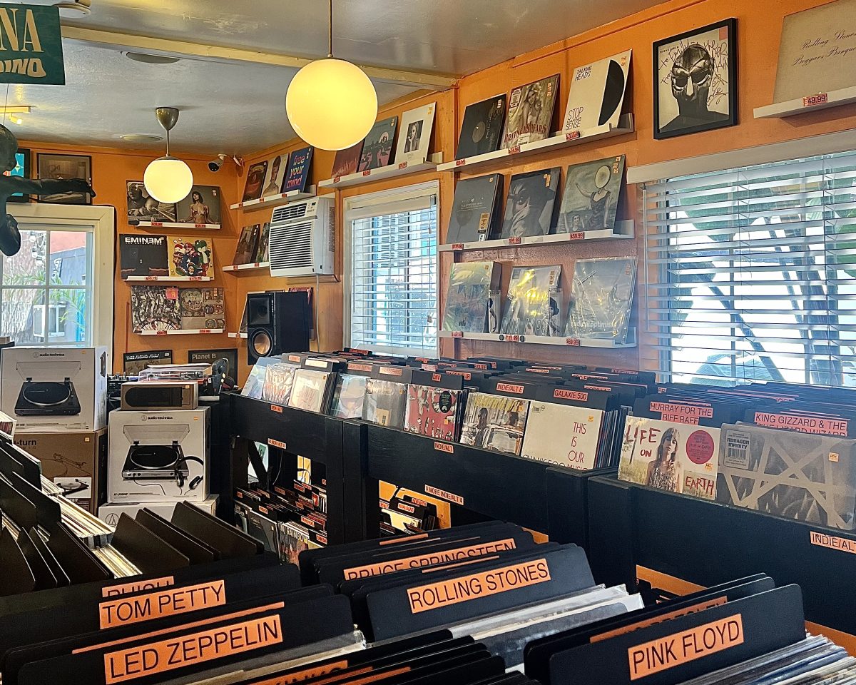 Stores like Vinyl Junkies have hundreds of records for people to choose from.