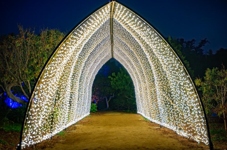 The entrance to the Winter Cathedral exhibit at the Botanical Gardens.