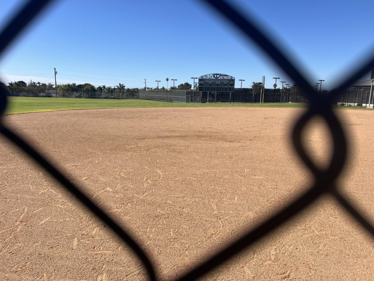 The baseball pitch, set up and ready for a great season. 